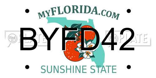 BYFD42 Florida License Plate