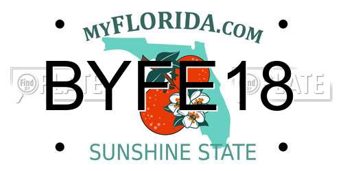 BYFE18 Florida License Plate