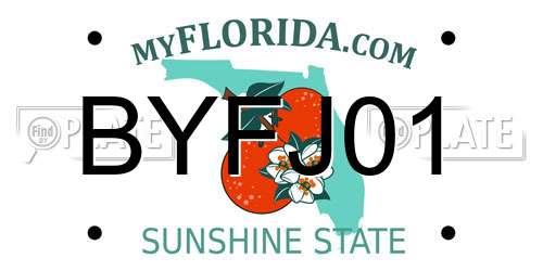 BYFJ01 Florida License Plate