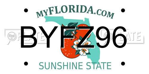 BYFZ96 Florida License Plate