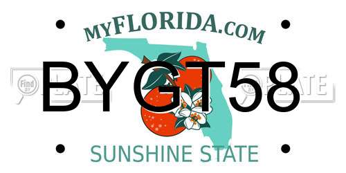 BYGT58 Florida License Plate