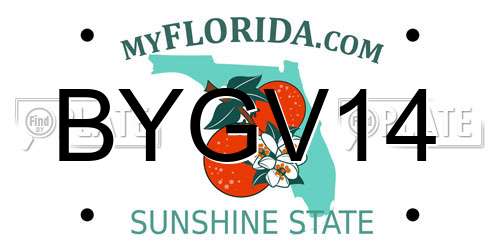 BYGV14 Florida License Plate
