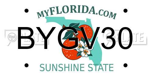 BYGV30 Florida License Plate
