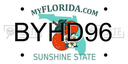 BYHD96 Florida License Plate
