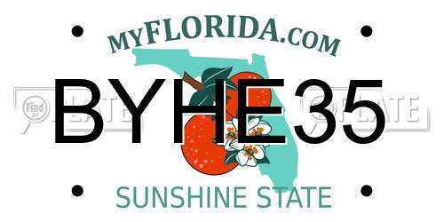 BYHE35 Florida License Plate