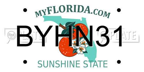 BYHN31 Florida License Plate