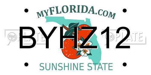 BYHZ12 Florida License Plate