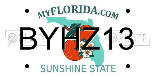 BYHZ13 Florida License Plate