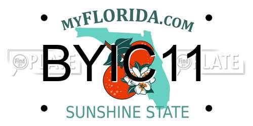 BYIC11 Florida License Plate