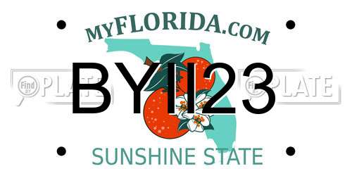 BYII23 Florida License Plate