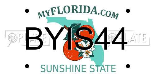 BYIS44 Florida License Plate