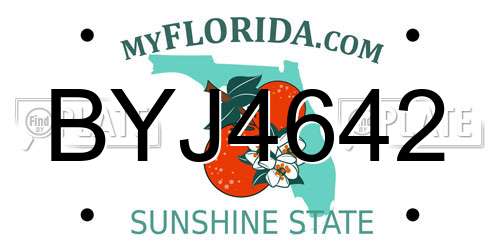 BYJ4642 Florida License Plate