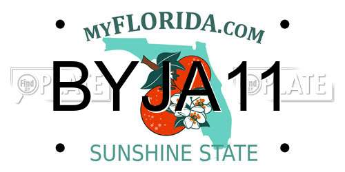 BYJA11 Florida License Plate