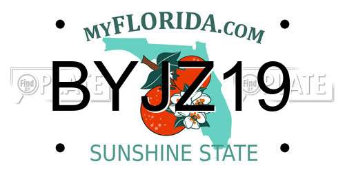 BYJZ19 Florida License Plate