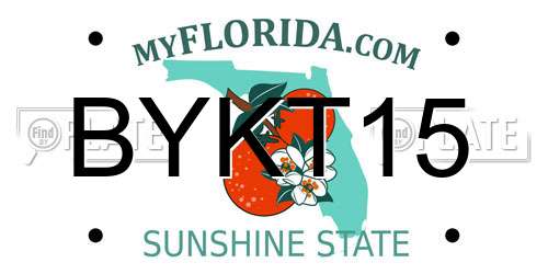 BYKT15 Florida License Plate