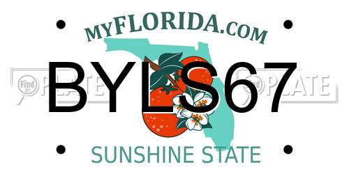 BYLS67 Florida License Plate