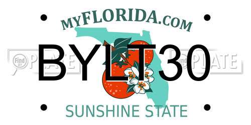 BYLT30 Florida License Plate