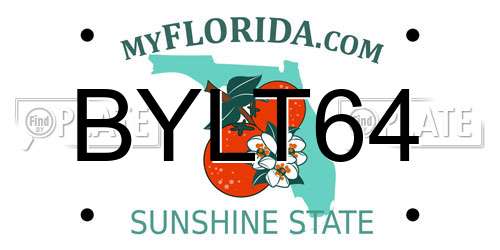 BYLT64 Florida License Plate