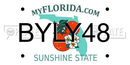 BYLY48 Florida License Plate