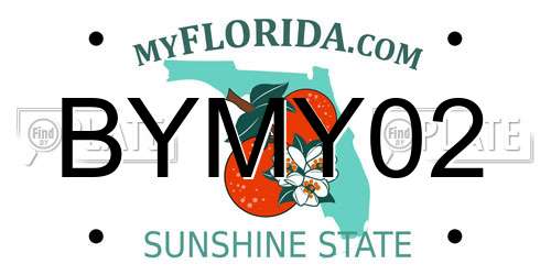 BYMY02 Florida License Plate