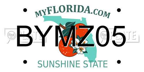 BYMZ05 Florida License Plate