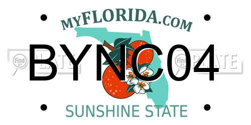 BYNC04 Florida License Plate