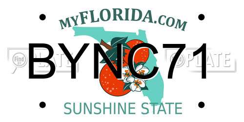 BYNC71 Florida License Plate