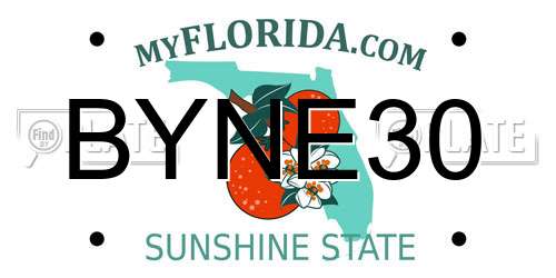 BYNE30 Florida License Plate