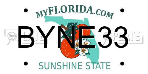 BYNE33 Florida License Plate