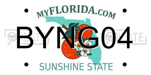 BYNG04 Florida License Plate