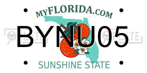 BYNU05 Florida License Plate