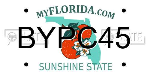 BYPC45 Florida License Plate
