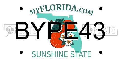 BYPE43 Florida License Plate