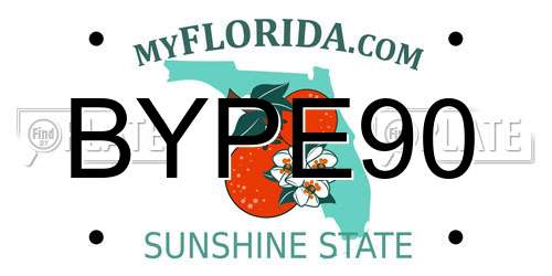 BYPE90 Florida License Plate