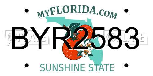 BYR2583 Florida License Plate