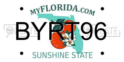 BYRT96 Florida License Plate