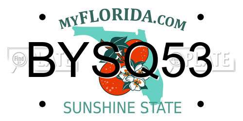 BYSQ53 Florida License Plate