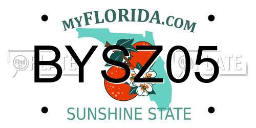 BYSZ05 Florida License Plate