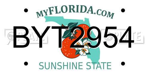 BYT2954 Florida License Plate