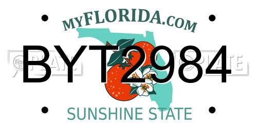 BYT2984 Florida License Plate