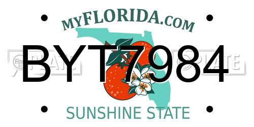 BYT7984 Florida License Plate