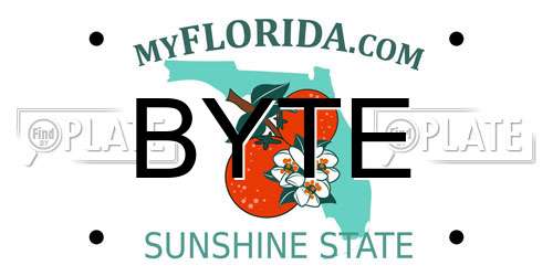 BYTE Florida License Plate