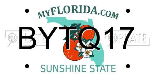 BYTQ17 Florida License Plate