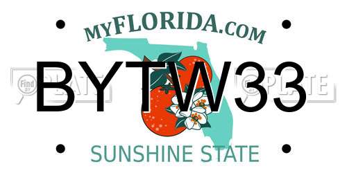 BYTW33 Florida License Plate