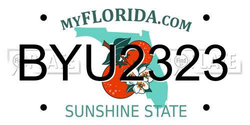 BYU2323 Florida License Plate