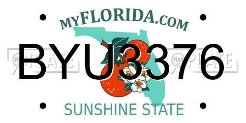 BYU3376 Florida License Plate