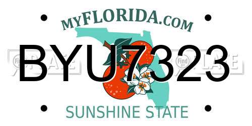BYU7323 Florida License Plate