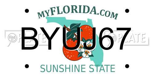 BYUJ67 Florida License Plate