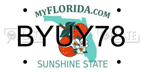 BYUY78 Florida License Plate