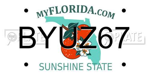 BYUZ67 Florida License Plate